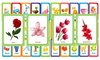 Montessori-flash-card-flowers